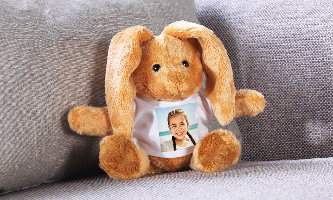 Een schattig, zacht konijn zit op een bank en draagt een T-shirt met een foto erop.