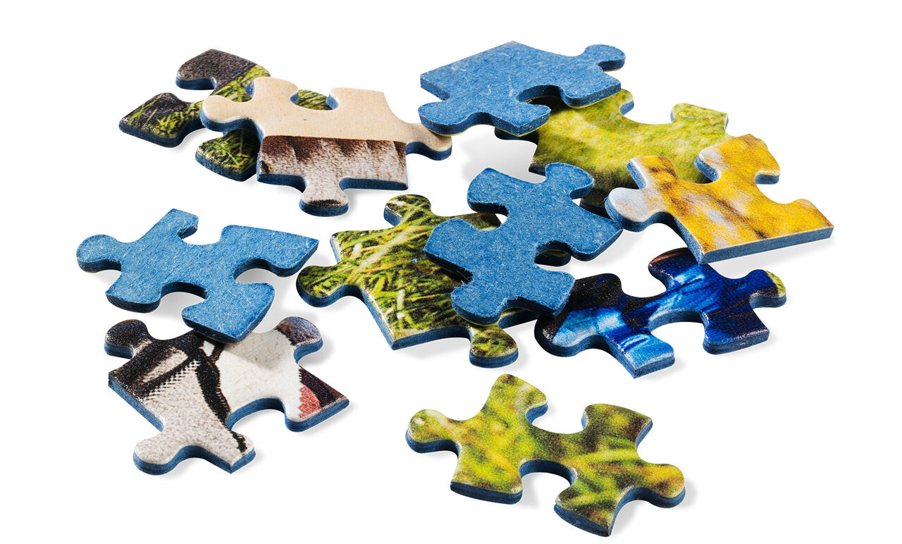 Kleurrijke puzzelstukjes op een witte achtergrond