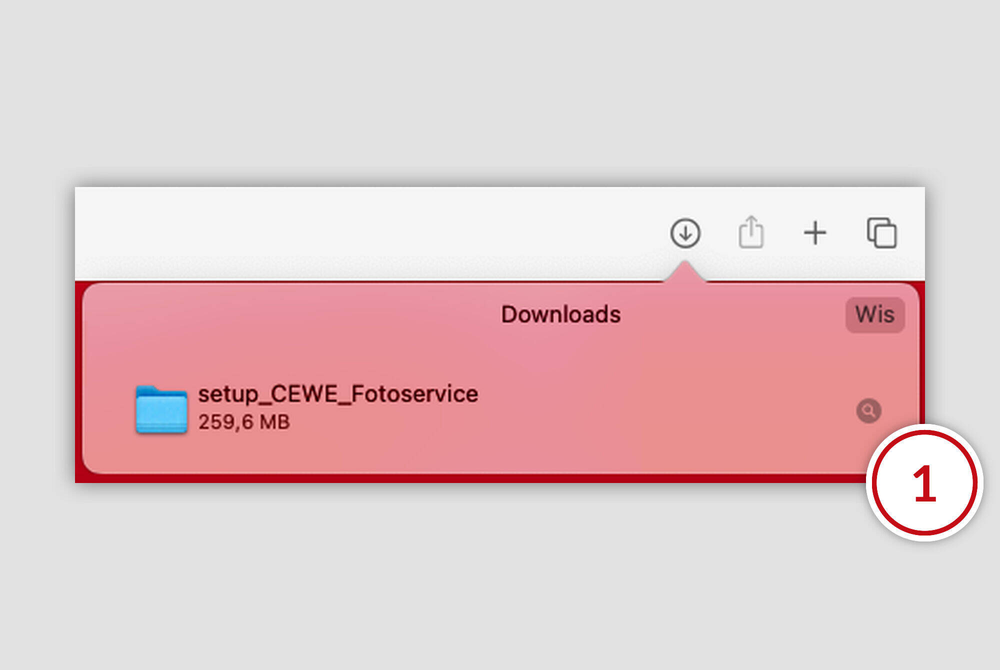 De downloadmap op een computerscherm toont een bestand 'setup_CEWE_Fotoservice' met een grootte van 259,6 MB.