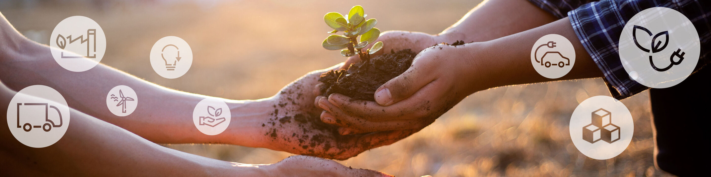 Handen houden een kleine plant met aarde vast, omringd door symbolen voor duurzaamheid.