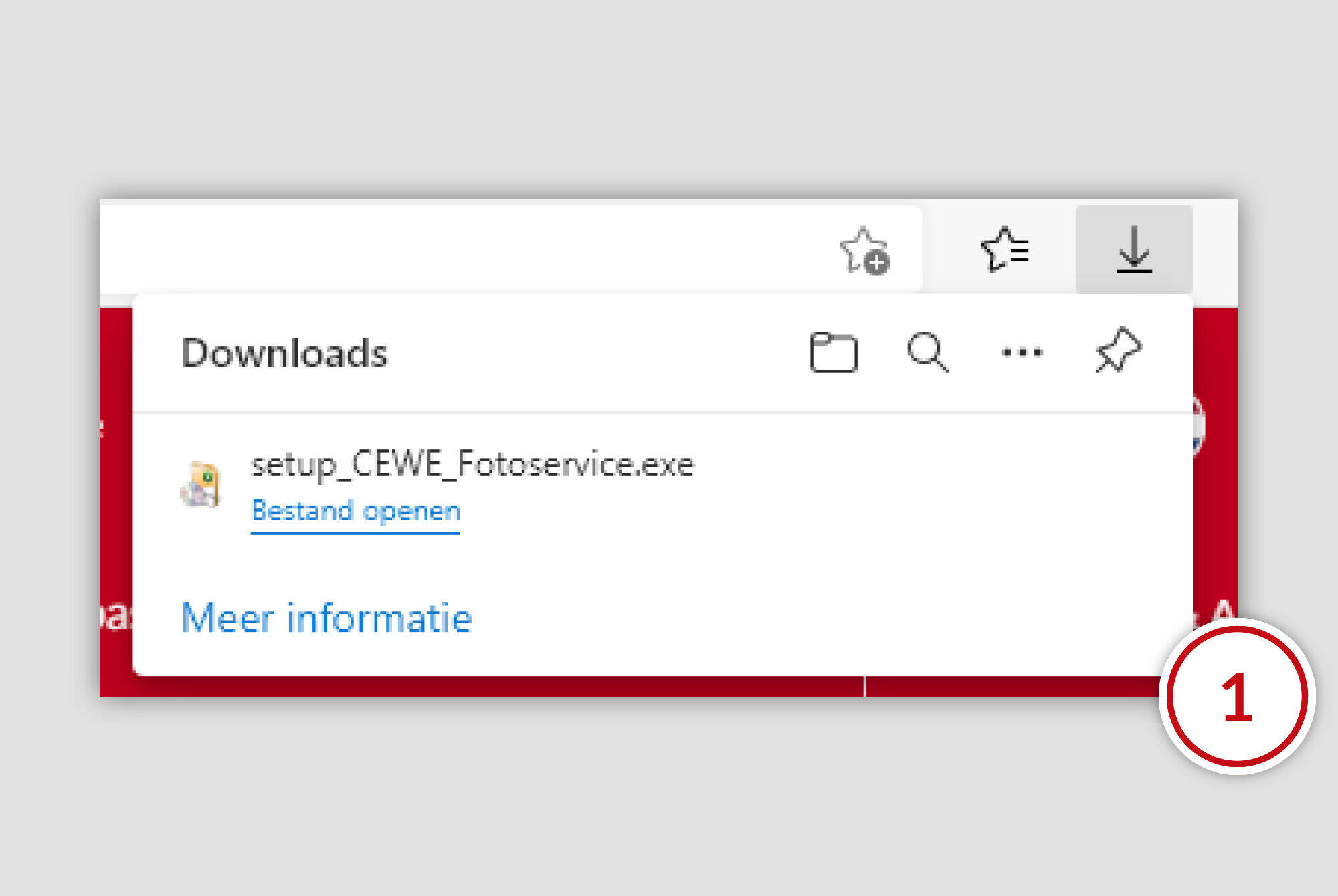 Downloadvenster voor CEWE Fotohome met bestand setup_CEWE_Fotoservice.exe