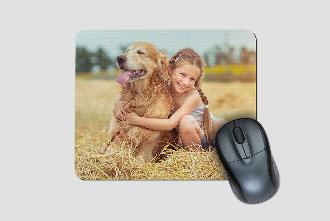 Une fille enlace son chien adorable dans un champ de paille. Elles savourent ce moment ensemble.
