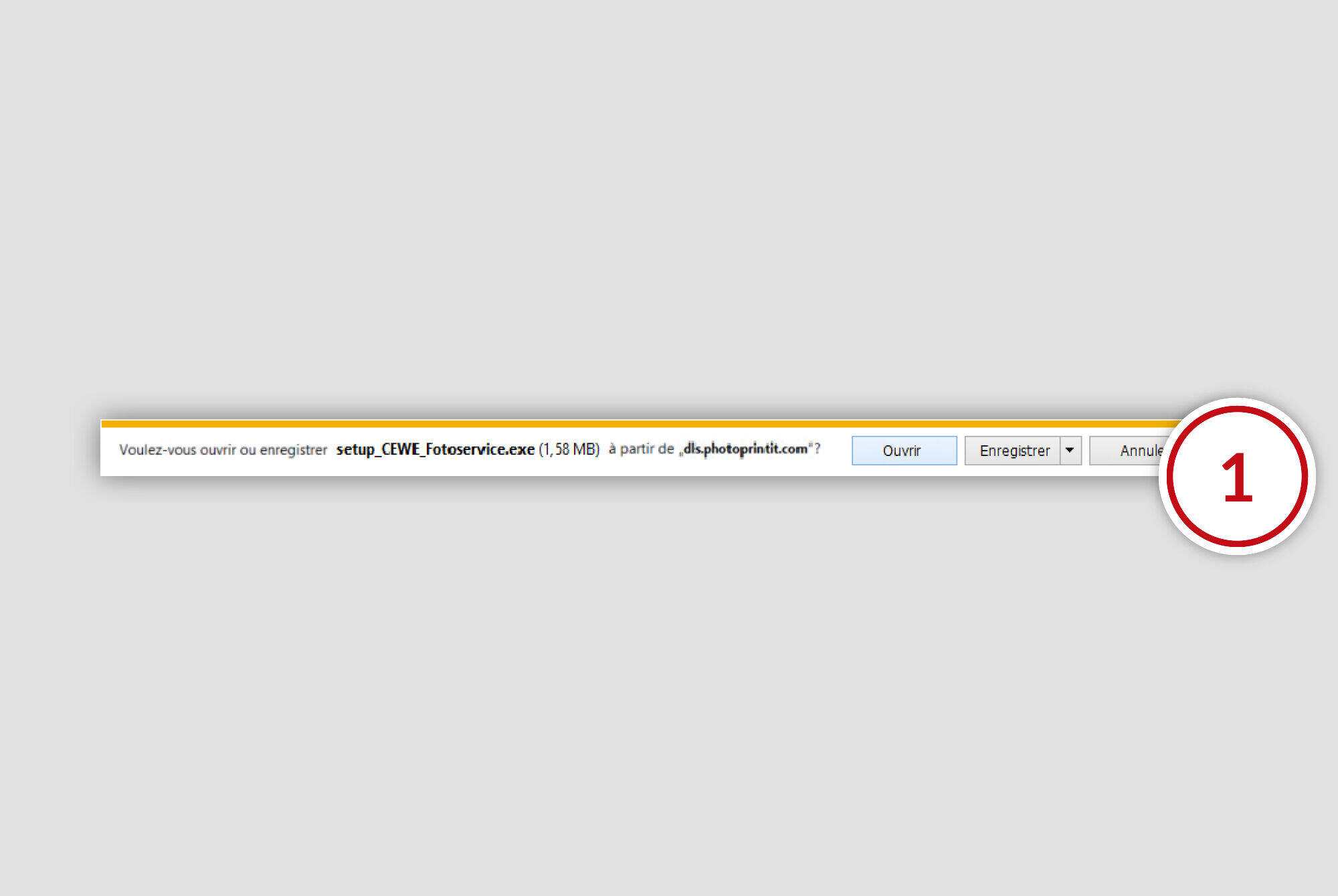Capture d'écran des options de stockage dans CEWE Fotobuch.