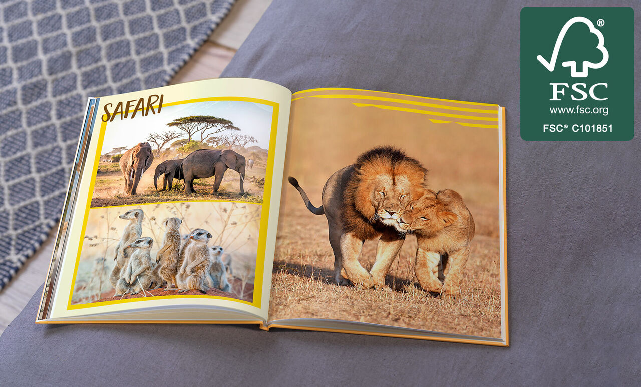 Un album photo ouvert avec thème safari. À gauche, des éléphants et des suricates, à droite, deux lions jouant.
