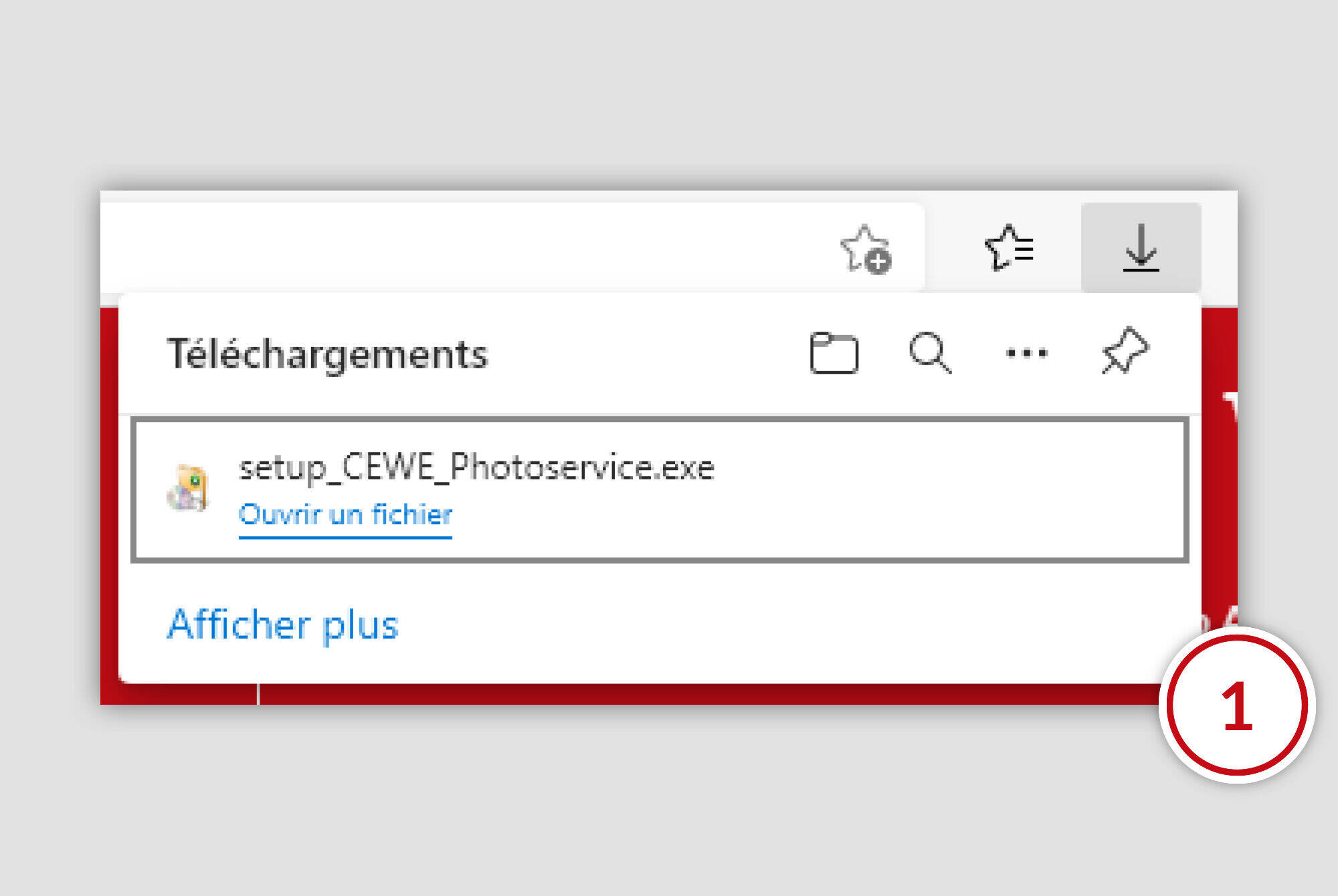 Lien de téléchargement pour le logiciel CEWE Fotoservice visible.