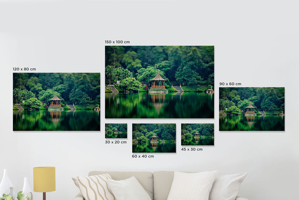 Variété d'images murales au design harmonieux : zones vertes et reflets d'eau.