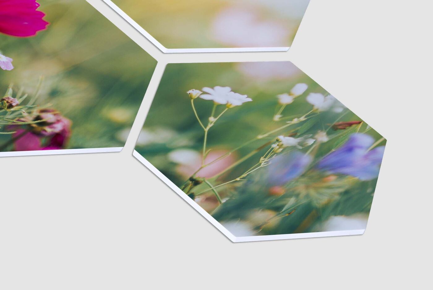 Tirages photo hexagonaux avec des motifs floraux colorés.