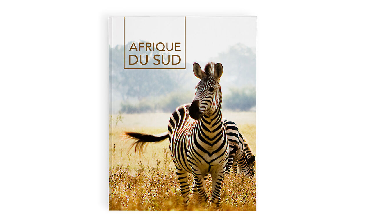 Un zèbre se déplace à travers une savane ensoleillée avec des herbes vertes. D'autres zèbres sont visibles à l'arrière-plan.