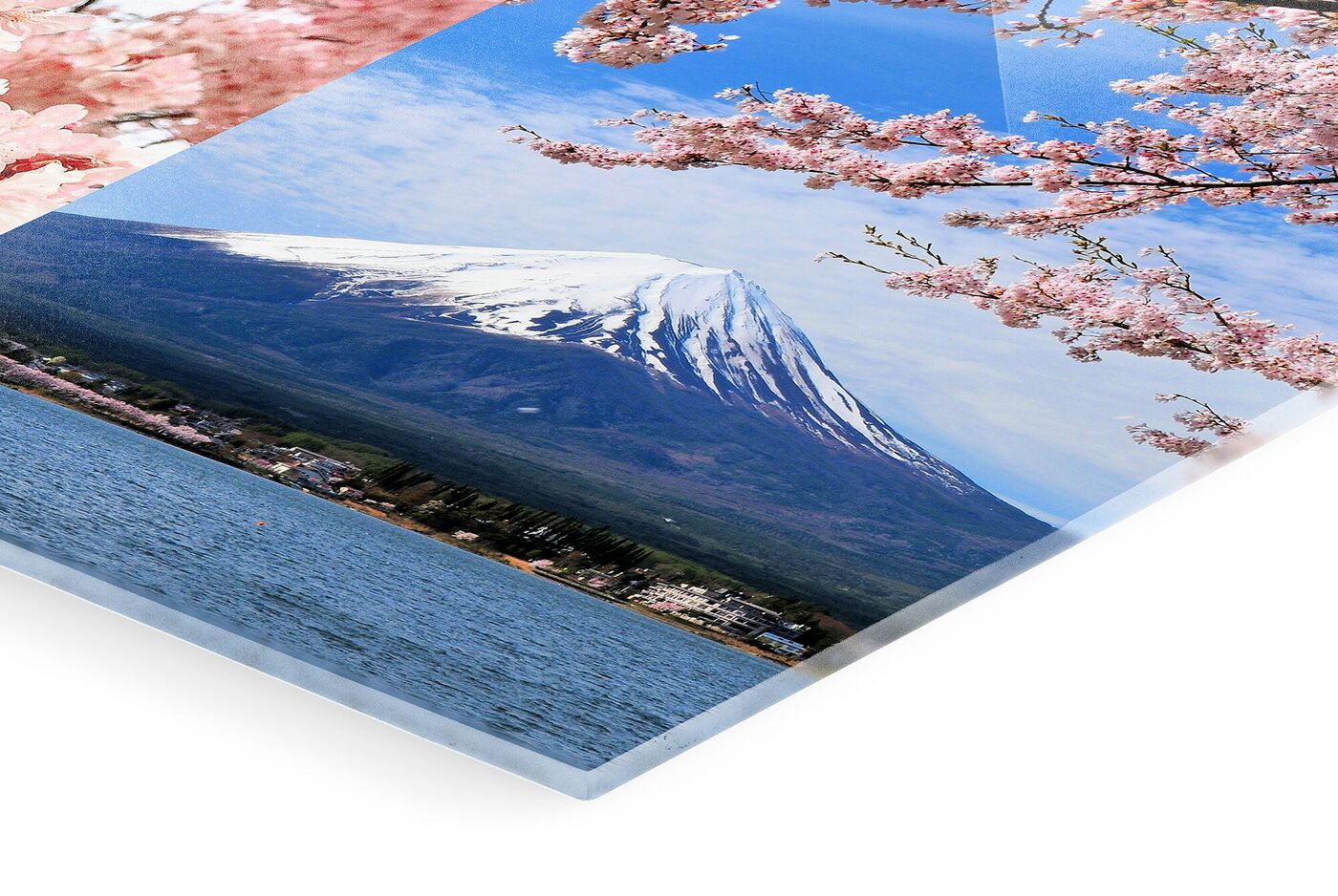 Vue sur le mont Fuji avec des fleurs de cerisier au premier plan